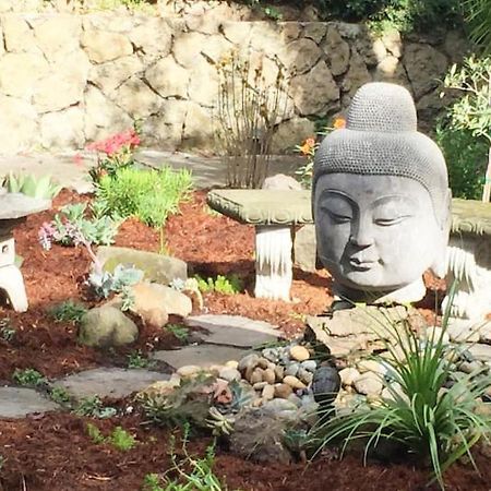 Serene Charming Private Suite Patio, Upscale Бъркли Екстериор снимка
